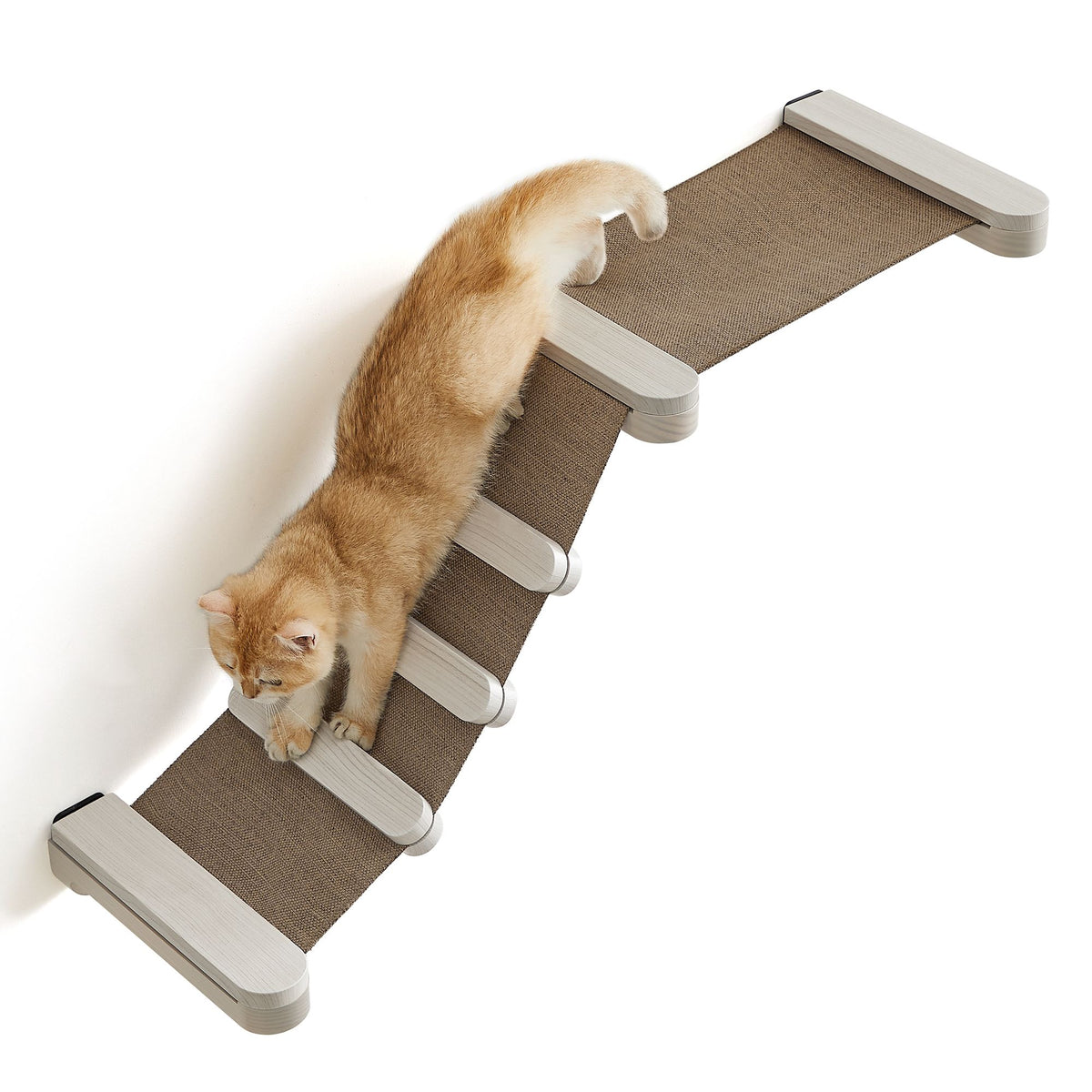 Collezione Clickat N 002 Amaca Da Arrampicata Per Gatti Da Parete collezione-clickat-n-002-amaca-da-arrampicata-per-gatti-da-parete