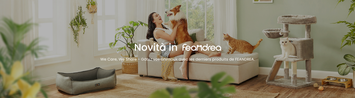 Novità in FEANDREA