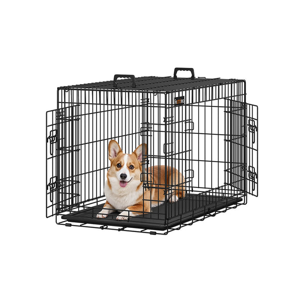 PPD36H